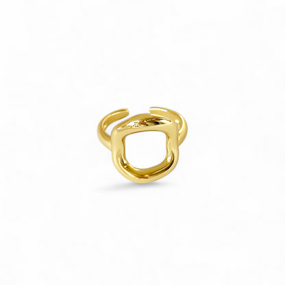 Anillo Naty