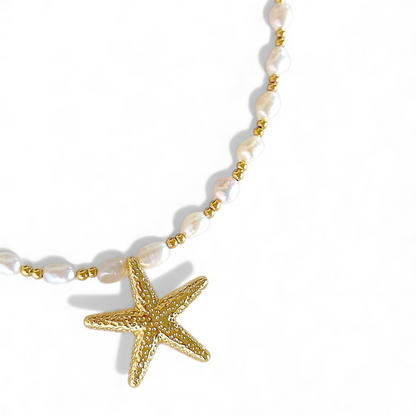 Collar Estrella de Mar joya mujer enchapado oro 18k collar colgante regalo