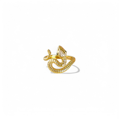 Anillo Snake