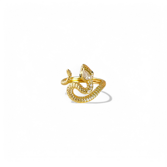 Anillo Snake
